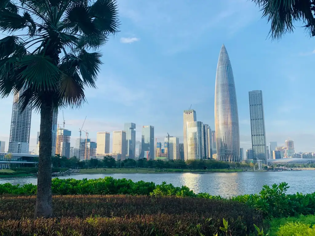 大连豆号科技汽车服务平台：技术架构与多场景应用解析
