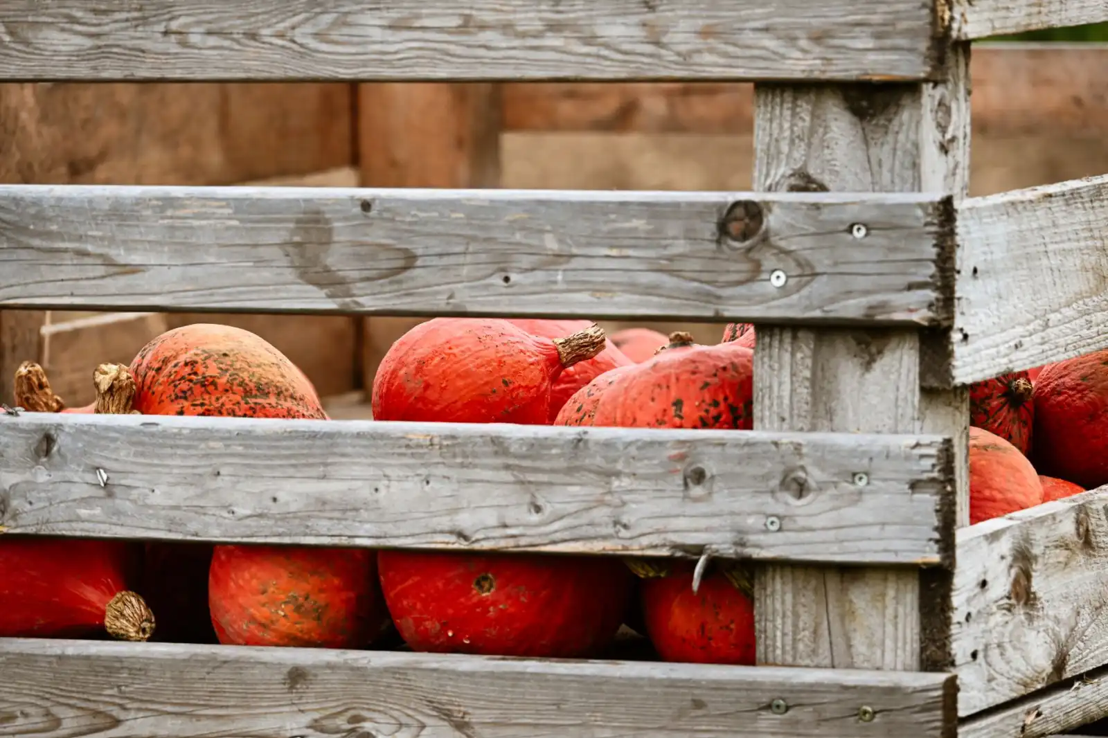 豆号科技汽车资讯平台与交易系统功能对比分析