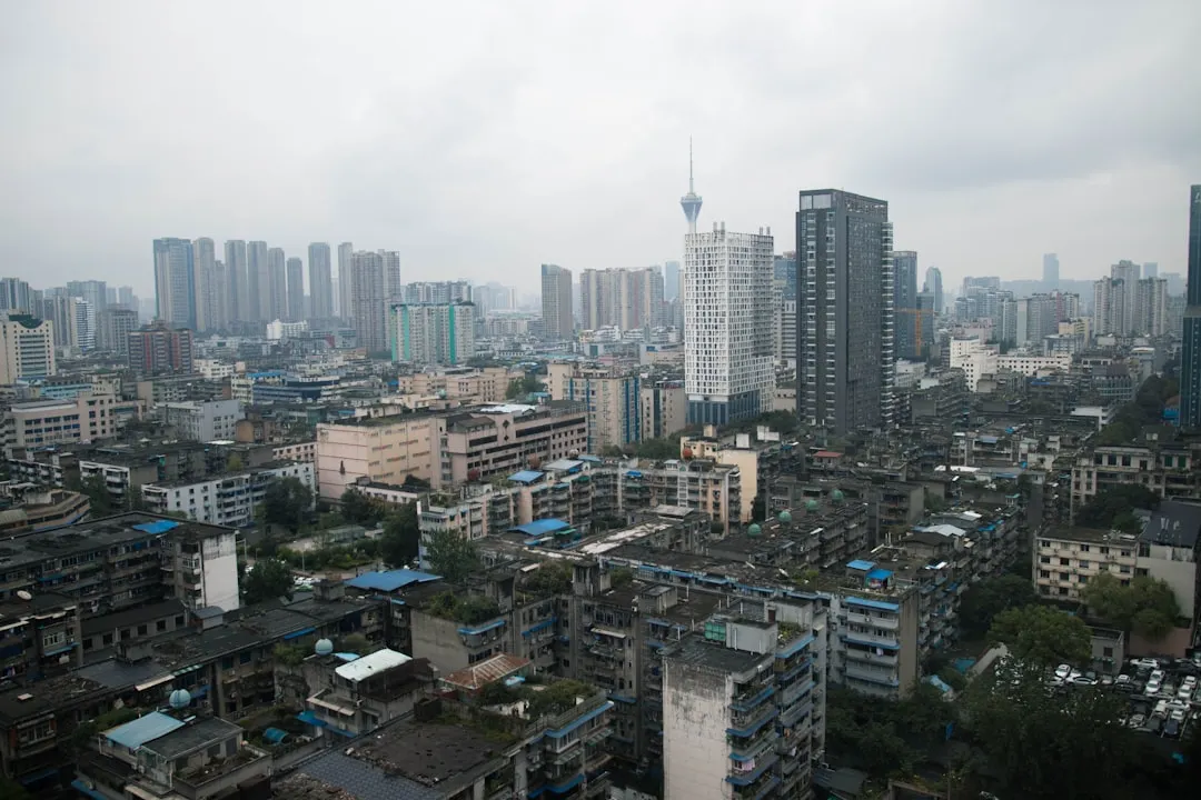 2024年汽车服务软件开发选型指南：大连豆号科技对比分析